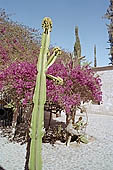 Arequipa, Franciscan convent la Recoleta